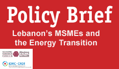 MSME s Energy Transition 2024 LCPS
